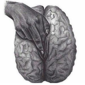 Meet your Posher, Asia